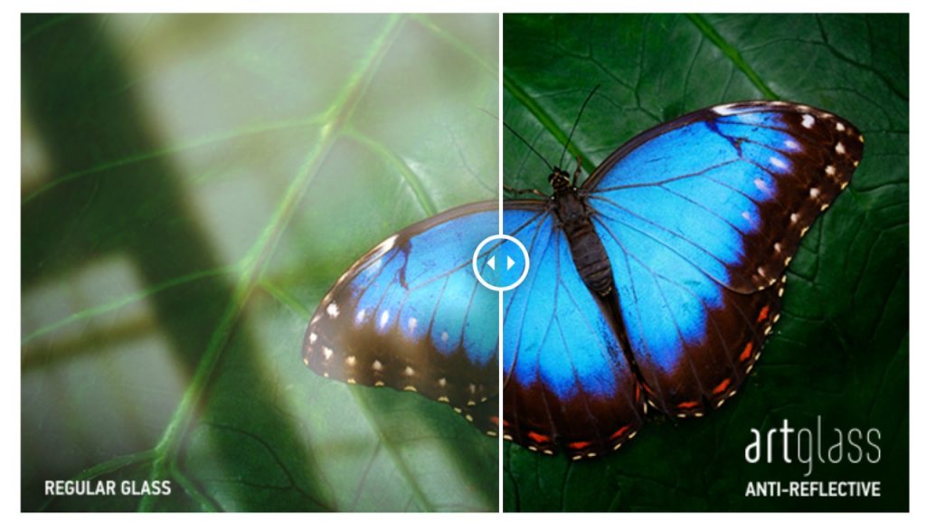 Blue Butterfly - Anti Reflective Art Glass