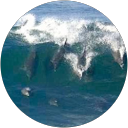 R. McF profile picture